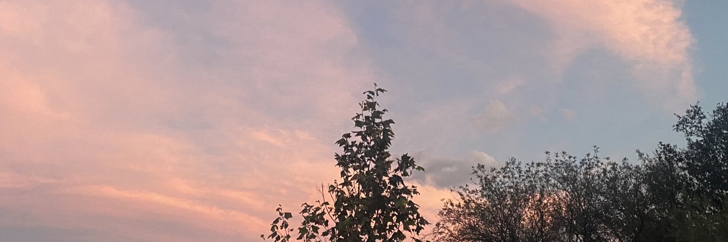 mariferchavez's profile banner image
