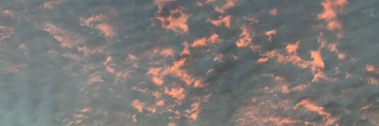 SofiraLaila's profile banner image