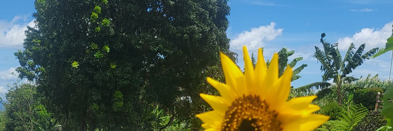 billl_aaaaa's profile banner image