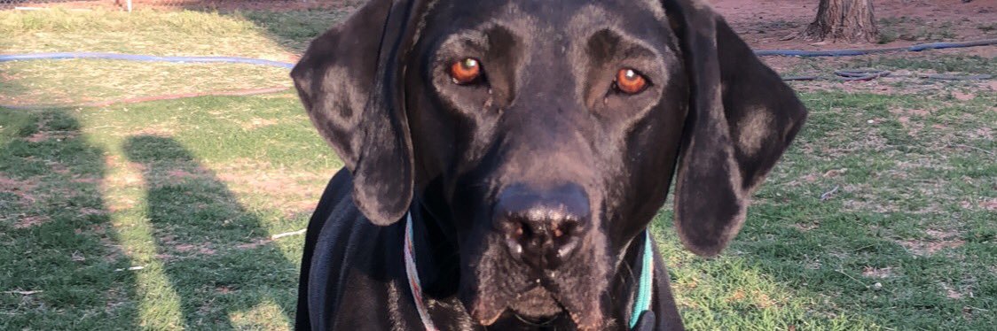 CaseyyCollier's profile banner image