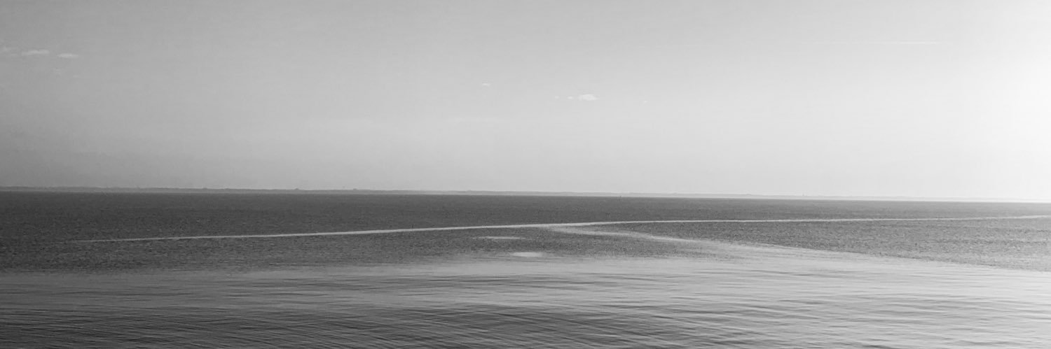 rafielogy_'s profile banner image