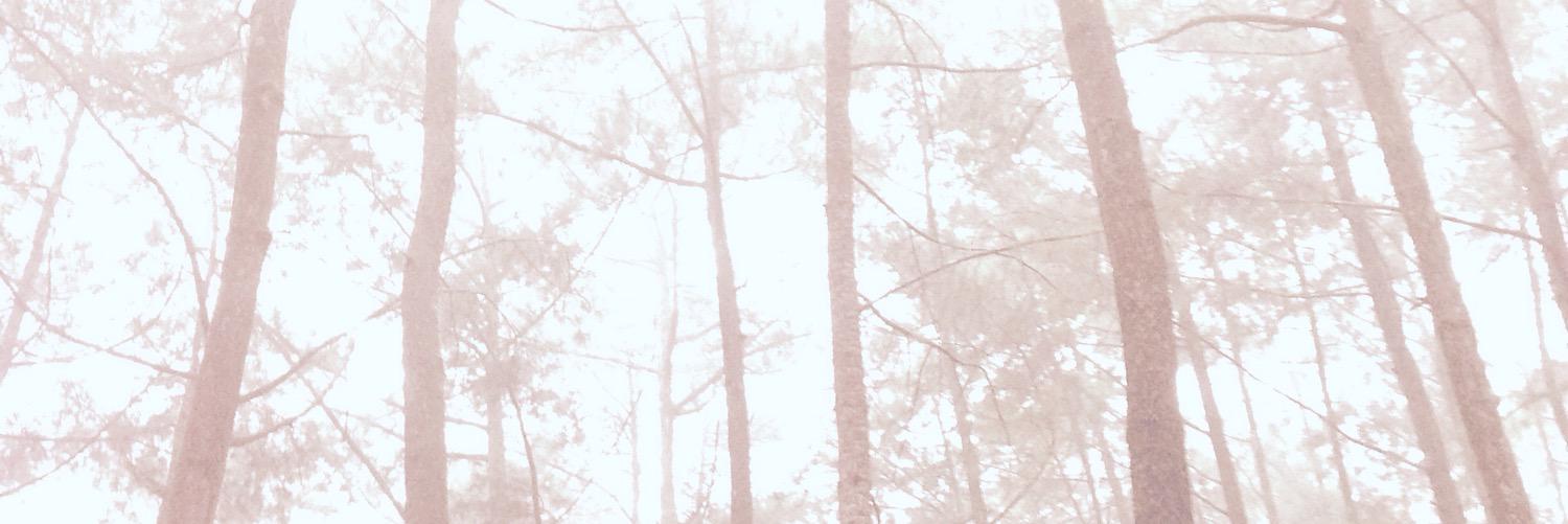 melputri's profile banner image
