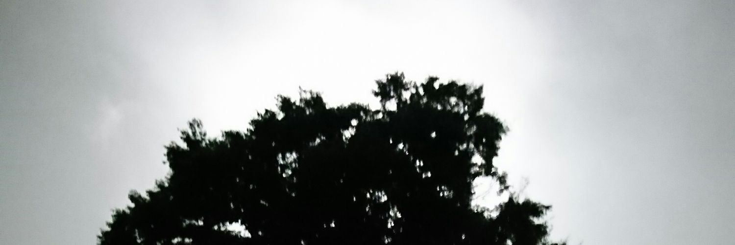 RIPTakajun's profile banner image