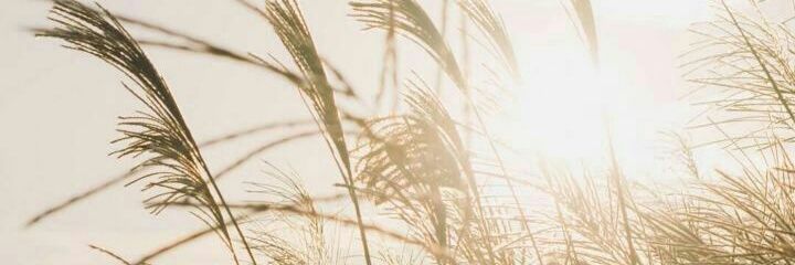 ali44220431's profile banner image