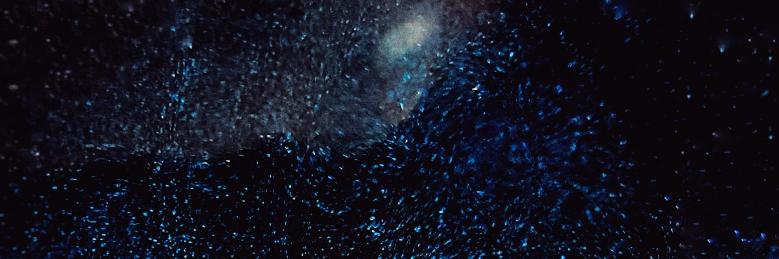 _5_ki77's profile banner image