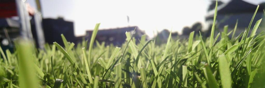 NativeSeedsPL's profile banner image
