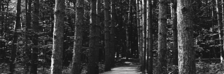 _ktvvv's profile banner image