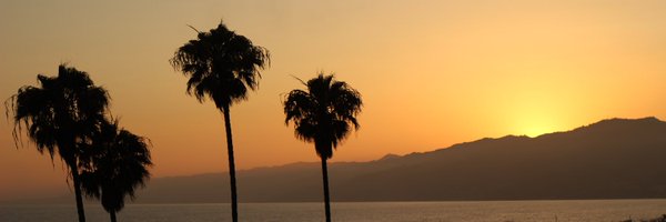 feder860 Profile Banner