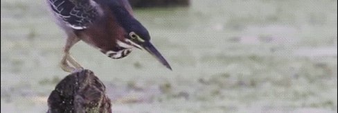 M4TCH banner