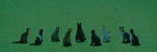 __brvndi's profile banner image
