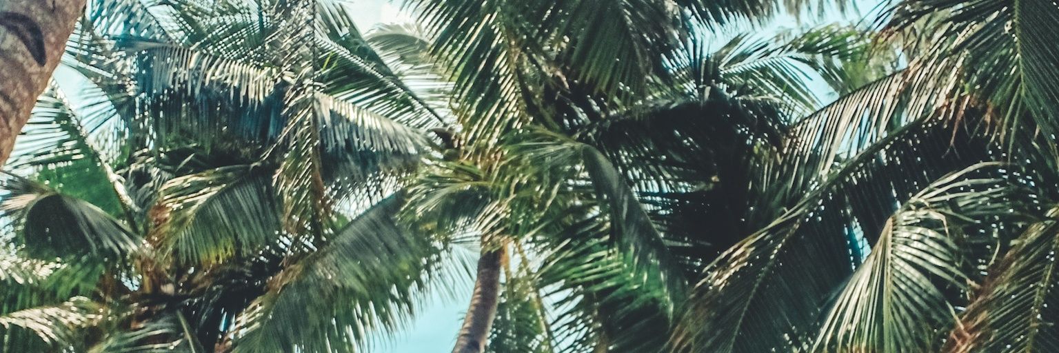mxxags's profile banner image