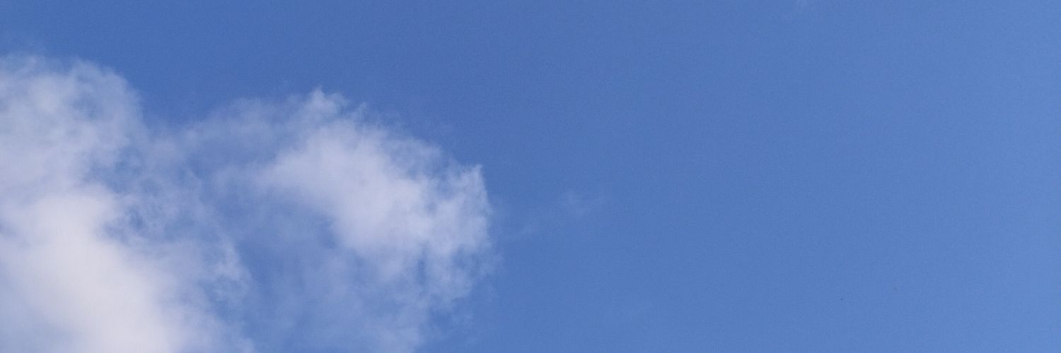 tny_twtr's profile banner image