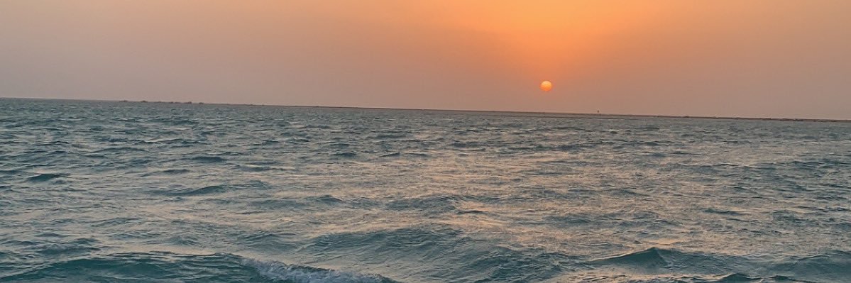 hamoo0d4331's profile banner image
