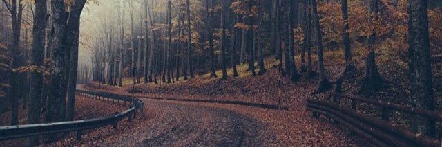 juleysi_29's profile banner image