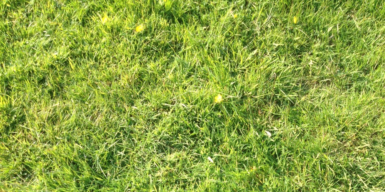 Laura gaudion banner