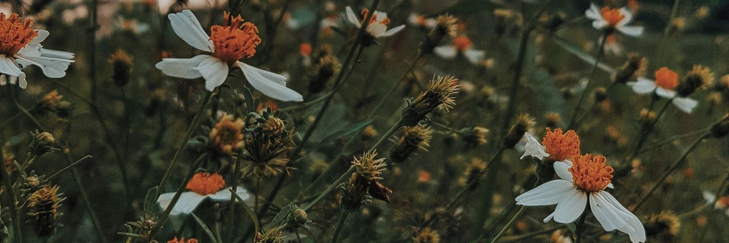 Febiyanmar_'s profile banner image