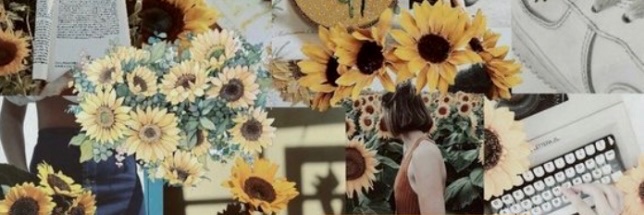 arinifritania_'s profile banner image