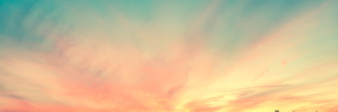 Nordmun's profile banner image