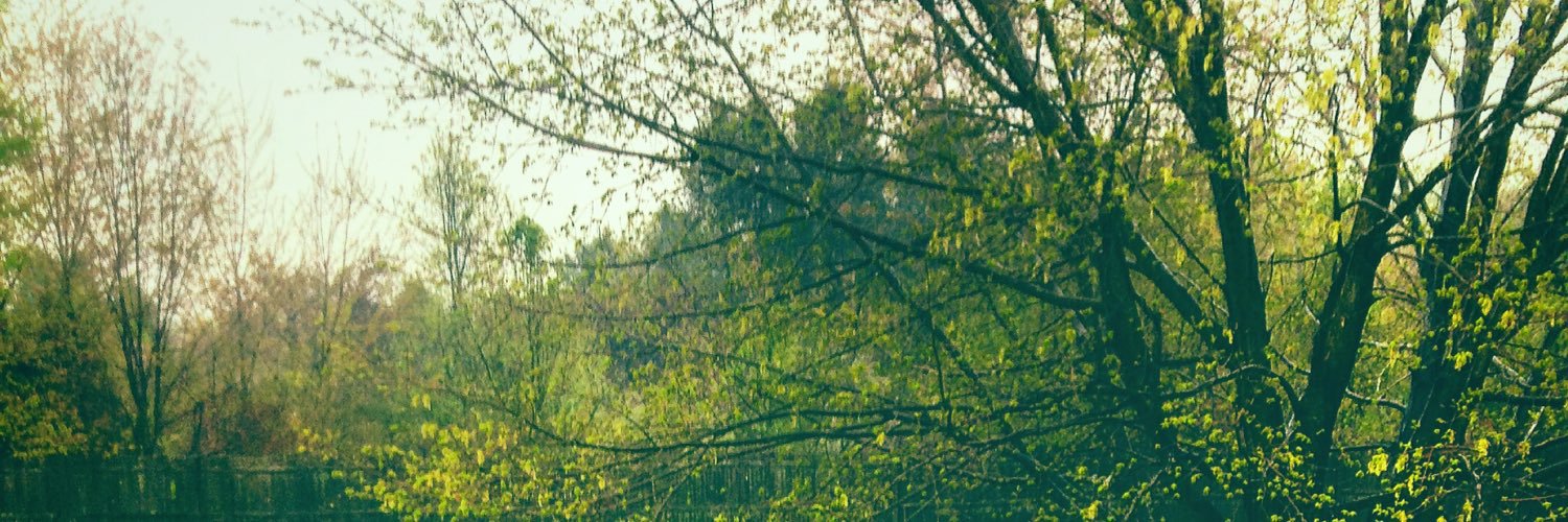 RalphieBoy97's profile banner image