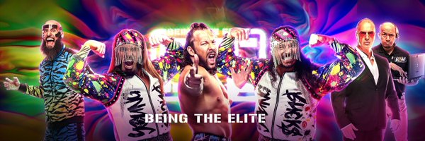 Being the Elite Profile Banner