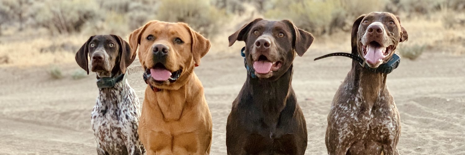 maggiewilsonn's profile banner image