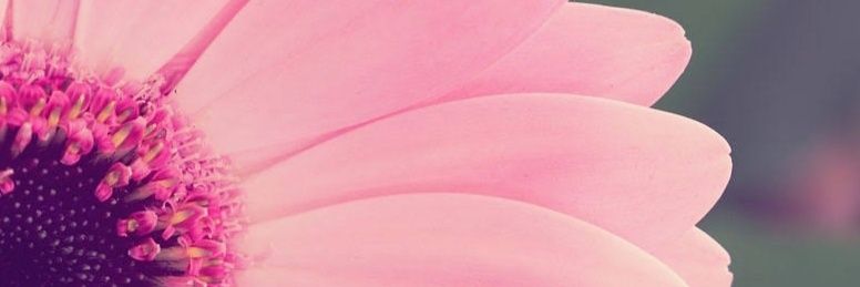 nhamay_0827's profile banner image