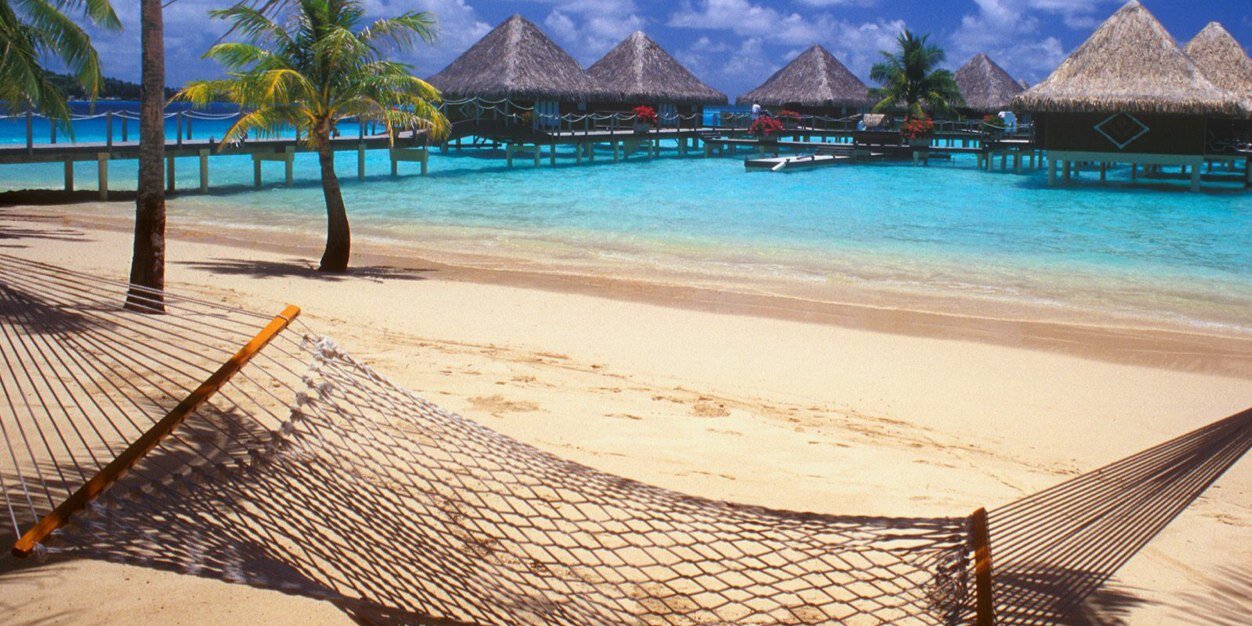 Danny Gribbin banner