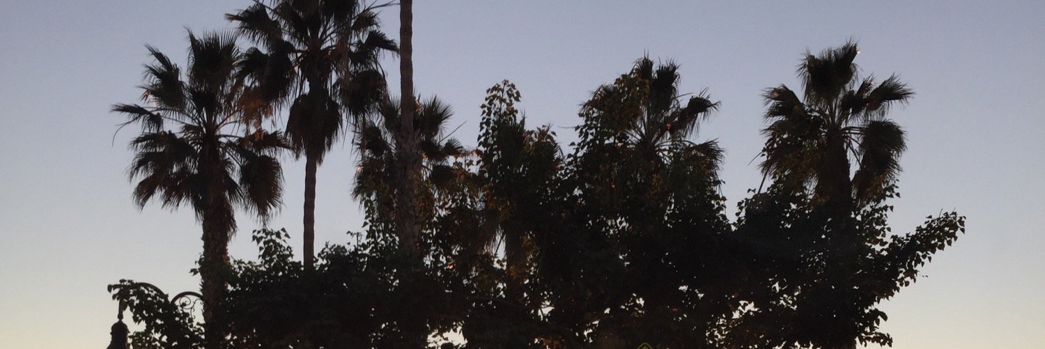 jasonmcilwee's profile banner image
