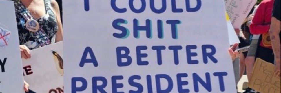 Ramaphosa is a bitch banner