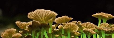 AB32948's profile banner image