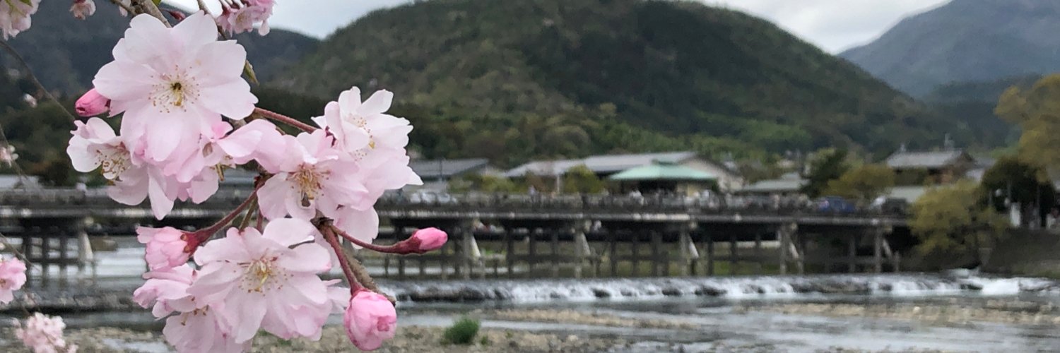 あぢの⛺️旅に出たい banner