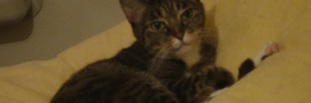 marurrie's profile banner image