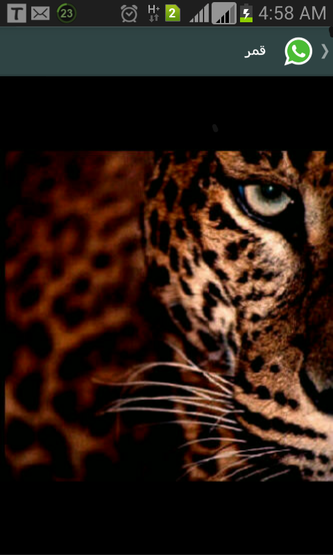 4006ph's profile banner image