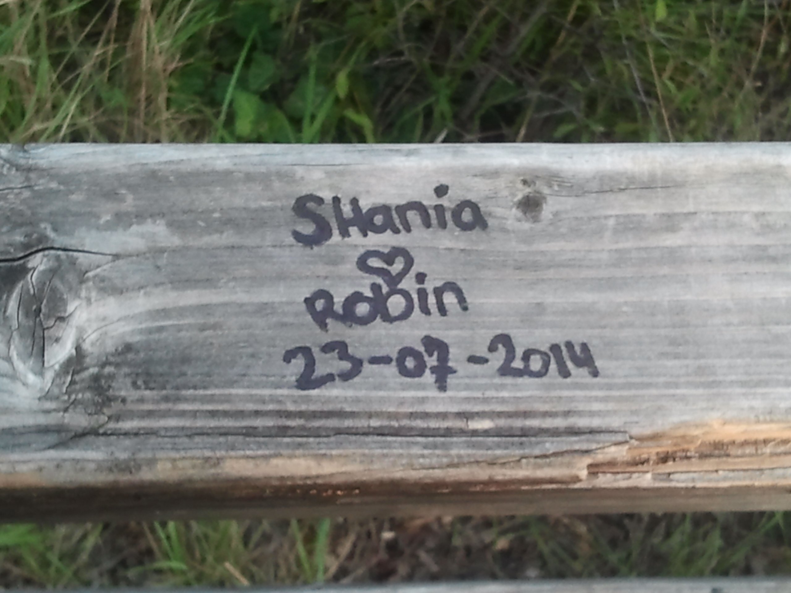 ElschotShania's profile banner image