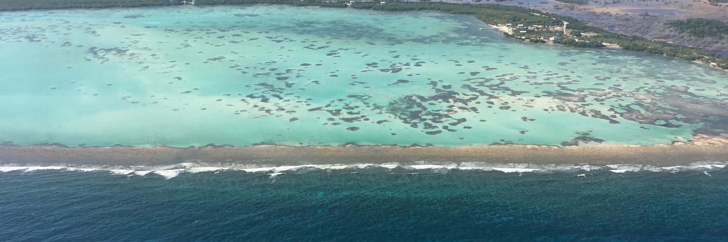 Rhiannon Austin banner