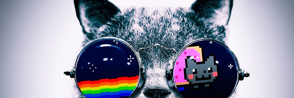 KaulRashika's profile banner image