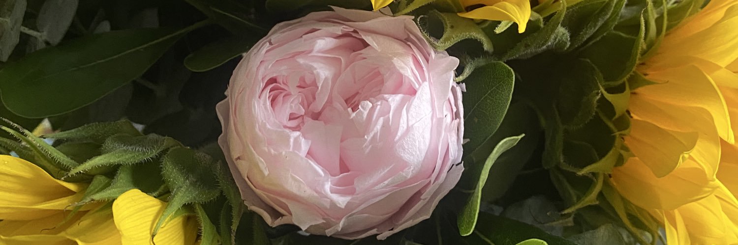 niccfg's profile banner image