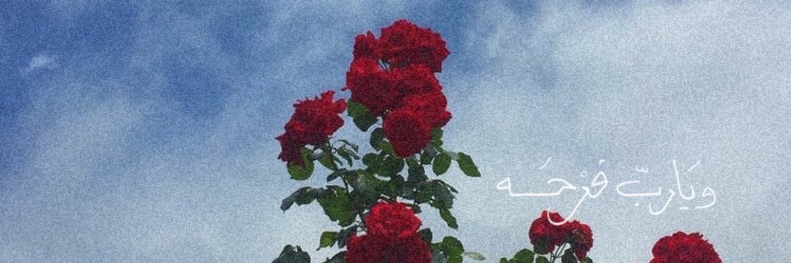2mo00on's profile banner image