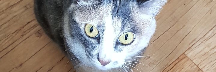 zoltaenge's profile banner image