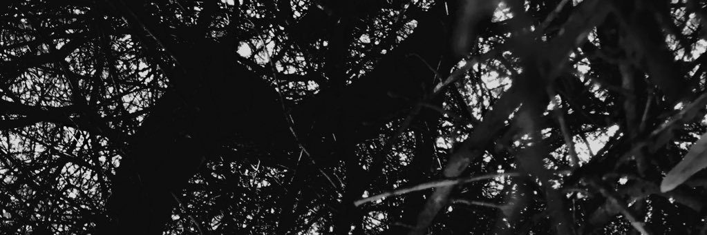 djsoolee's profile banner image