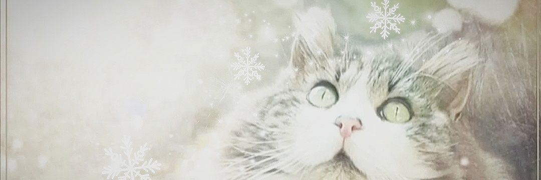 mikalin_i🕊🌼 banner