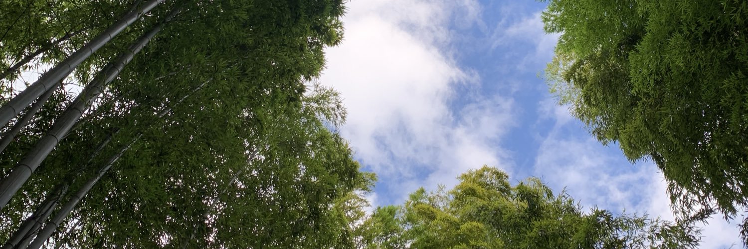 Patsak. banner
