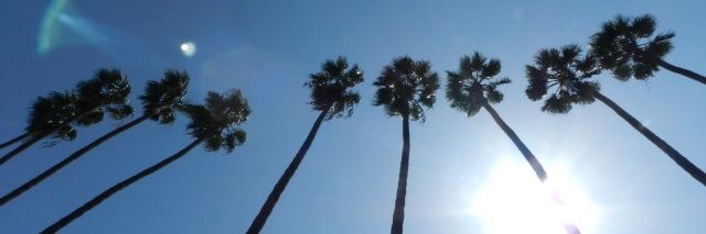 Anelisa Ndungane banner