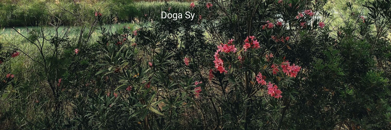 Doga Sy banner