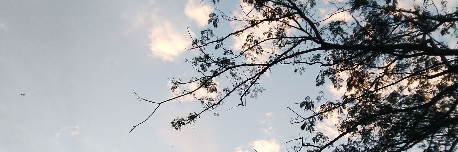 ellkohol's profile banner image