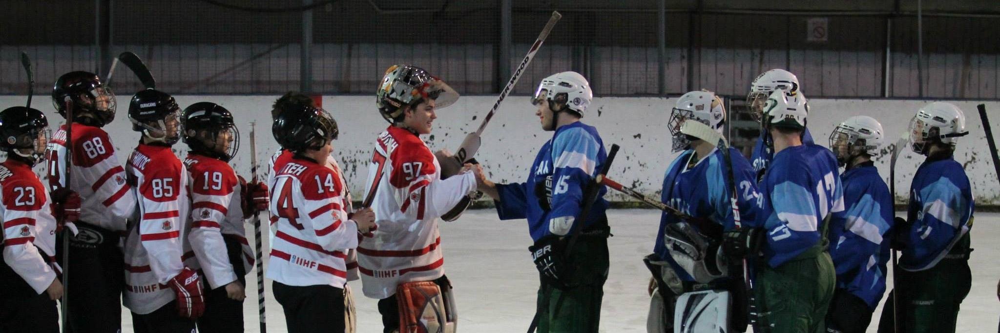 HockeyWithoutBorders banner