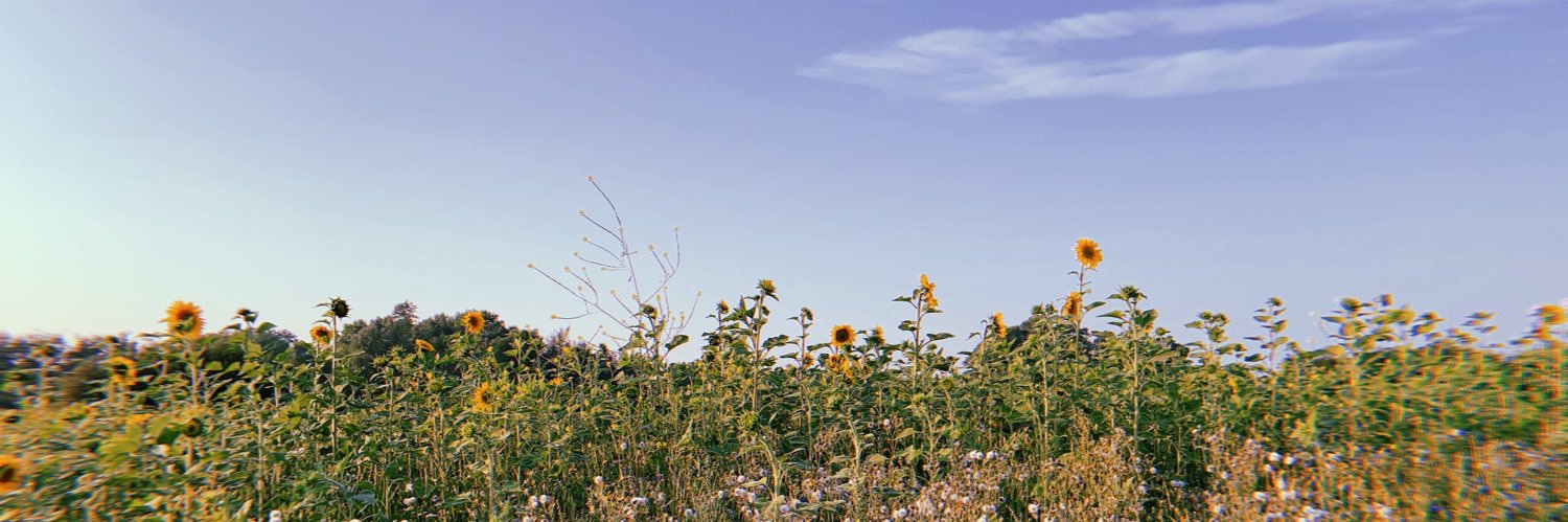 CathyHauspie's profile banner image