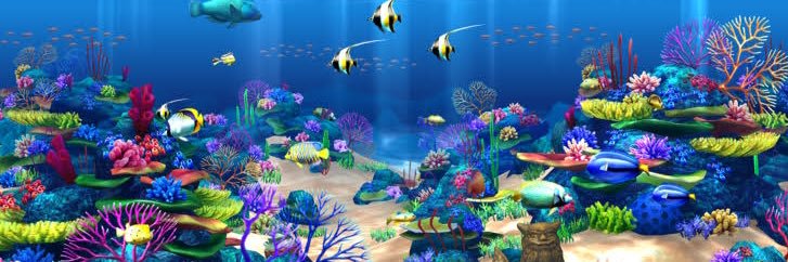 クジラッキー banner