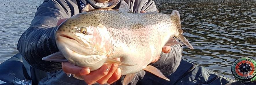NatalFlyFishers's profile banner image