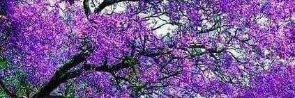 AkRumeysa53's profile banner image
